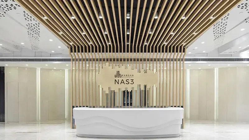 nas 3 nas 3