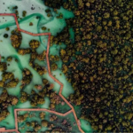 Aerial photograph of Jubail Mangrove Park, showing a wooden boardwalk winding through dense mangrove trees and shallow water.