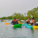 Explore the waterways and get a closer look at the mangroves from a kayak. Guided tours are available for those who want to learn more about the ecosystem.