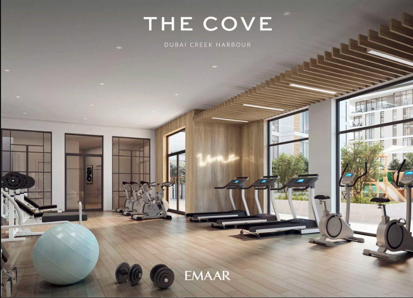 the cove the cove