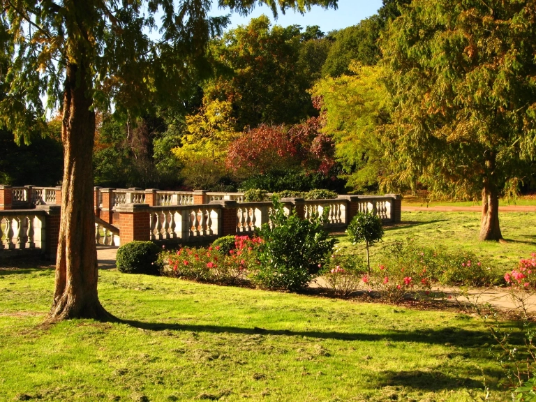 _cannizaro_park_flowers_original