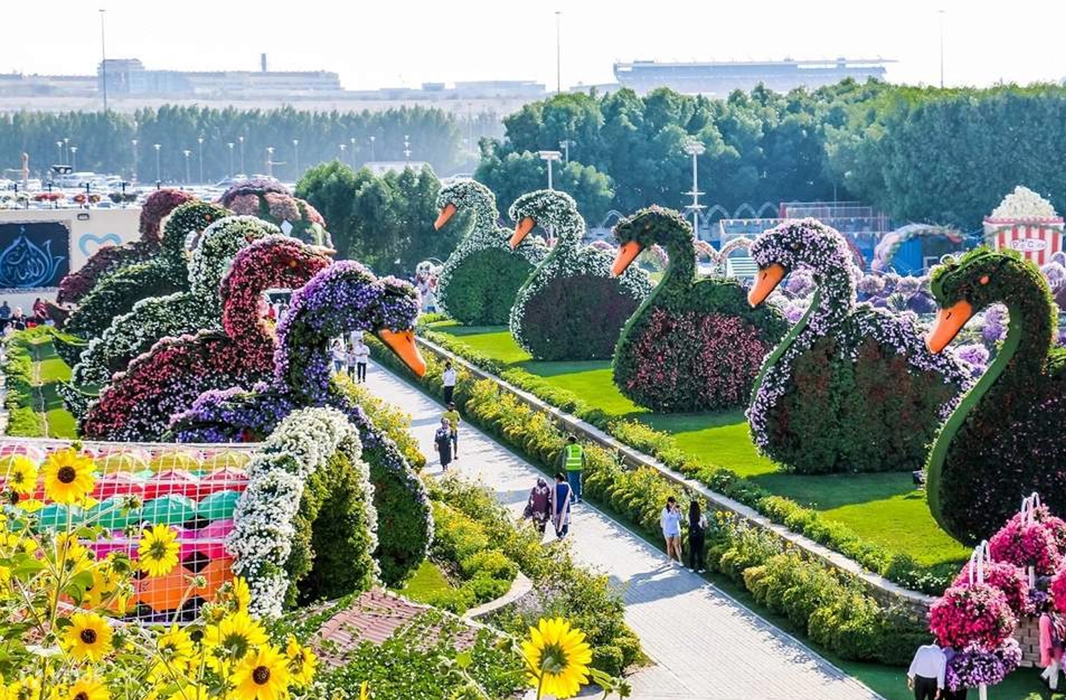 dubai outdoor winter activities