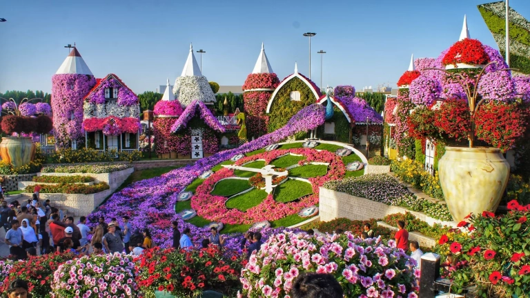 _miracle garden