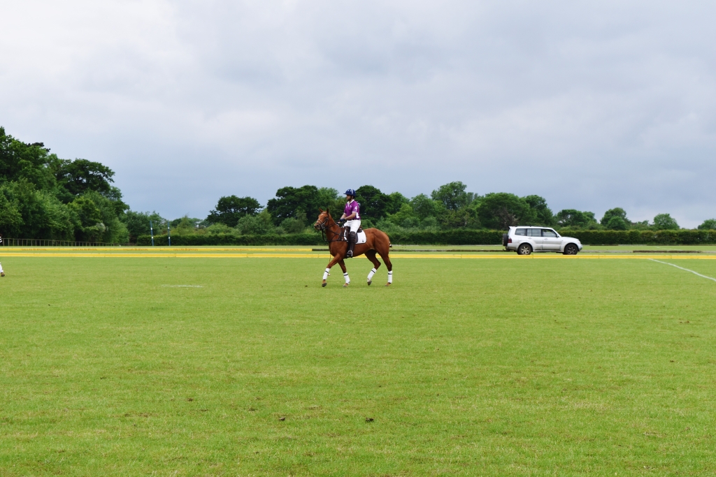 Dubai’s Ultimate Polo & Equestrian Living Communities