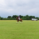 polo community dubai