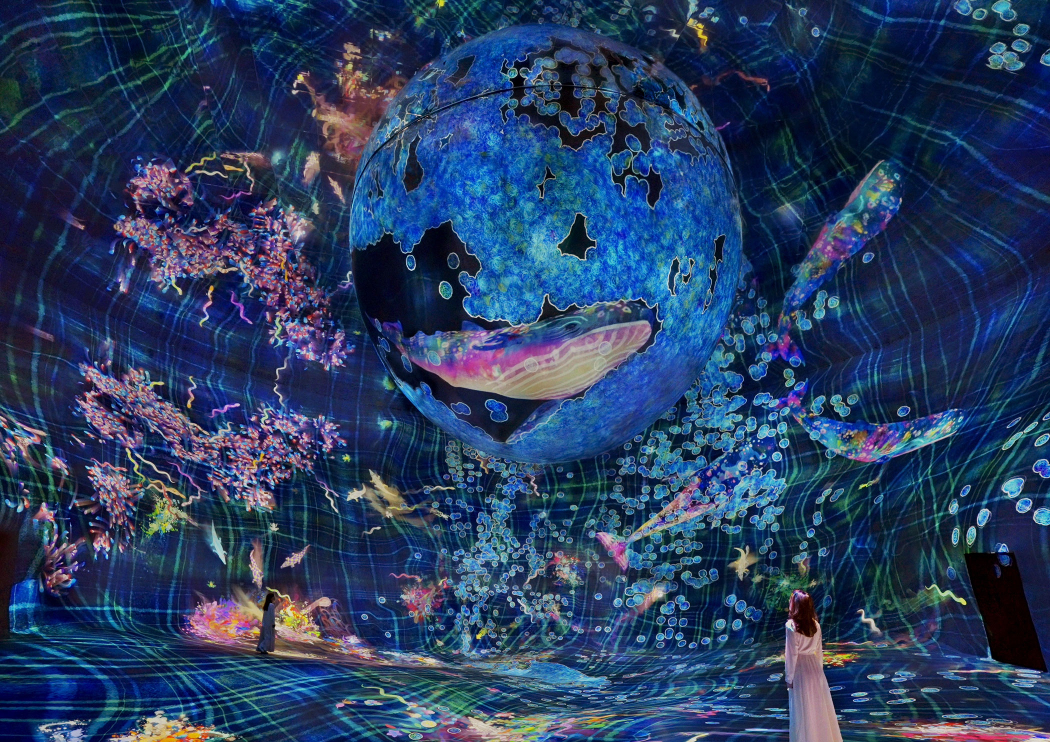 abu dhabi cultural attractions