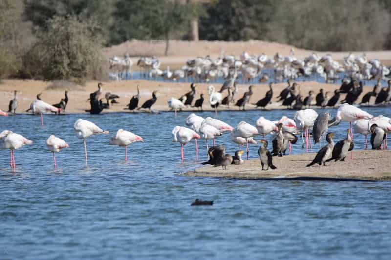 dubai outdoor winter activities