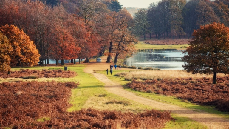richmond park london